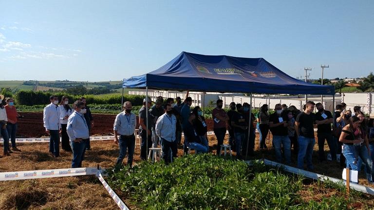 Adubos verdes são tema de encontro técnico em Maringá