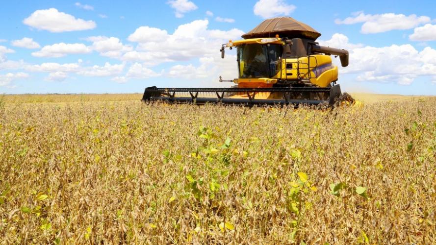 Paraná deve produzir 14,74 milhões de toneladas de grãos na safra de verão