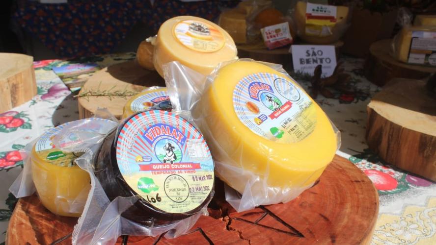 Rota do Queijo Paranaense lança mapa das queijarias e recebe agentes de viagens