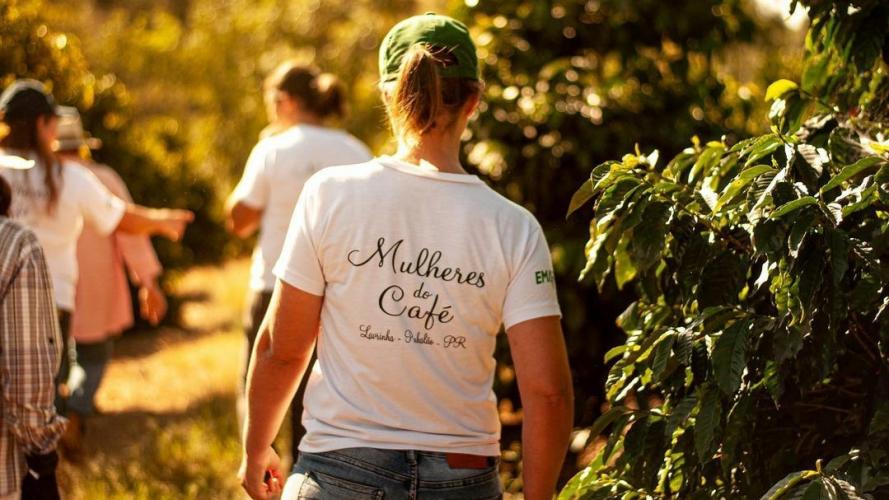 Mulheres garantem renda e se destacam com produção de café especial no Paraná
