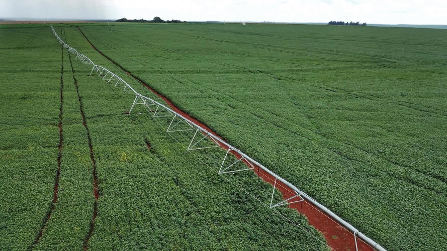 Sistema de Agricultura do Estado orienta produtores sobre uso de fertilizantes no solo