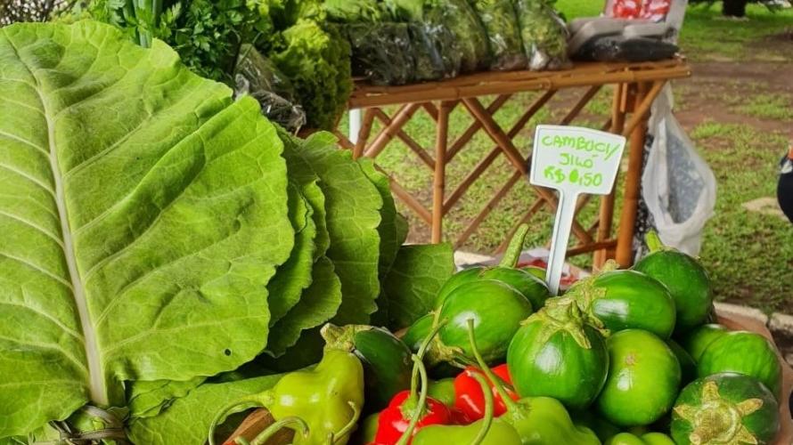 Produtores do Miringuava participam da primeira feirinha de orgânicos
