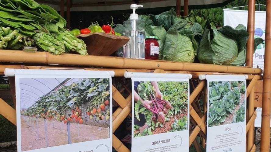 Produtores do Miringuava participam da primeira feirinha de orgânicos