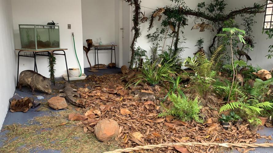 Em sua primeira participação na ExpoLondrina depois da incorporação, IDR-Paraná apresenta novidades de tecnologia e sustentabilidade para o campo