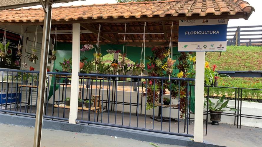 Em sua primeira participação na ExpoLondrina depois da incorporação, IDR-Paraná apresenta novidades de tecnologia e sustentabilidade para o campo