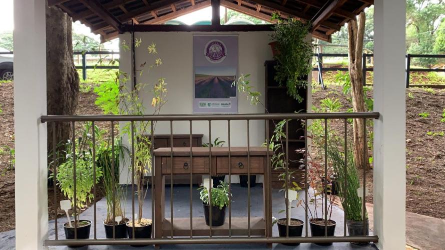 Em sua primeira participação na ExpoLondrina depois da incorporação, IDR-Paraná apresenta novidades de tecnologia e sustentabilidade para o campo