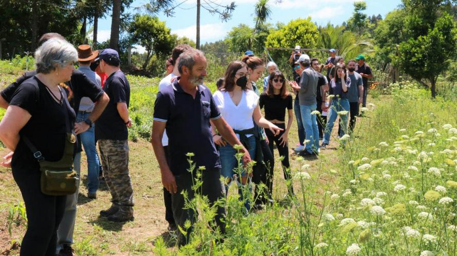 Série Orgânicos: Consumo de produtos orgânicos "por assinatura" estimula produtores e consumidores