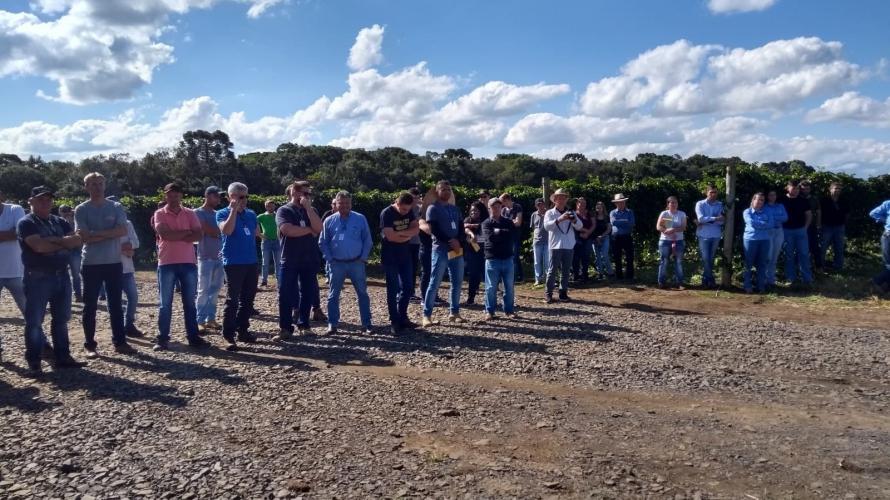 IDR-Paraná estimula produção de maracujá em Prudentópolis