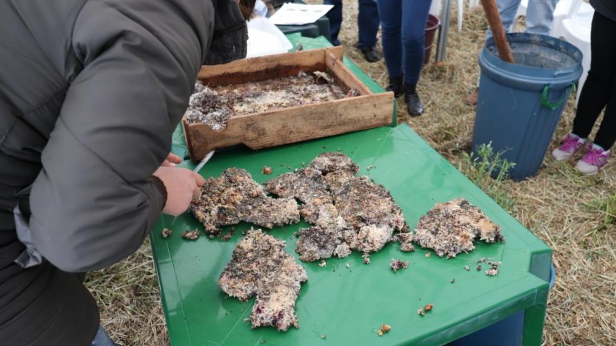 Oficina marca início da II Jornada Tecnológica da Agroecologia