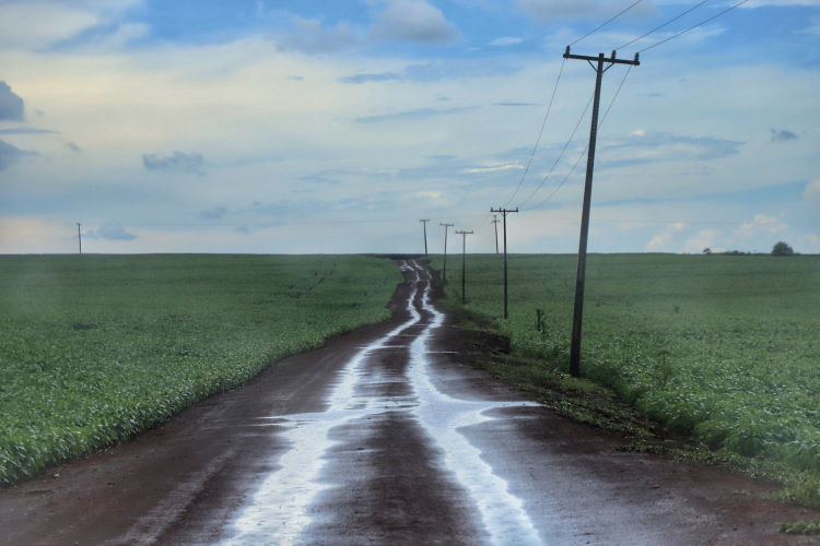 Chuvas em excesso prejudicam desenvolvimento agrícola