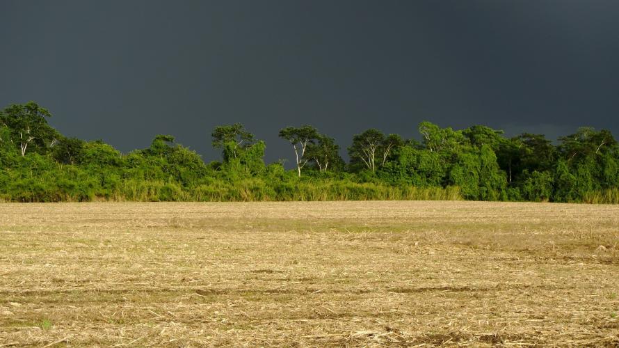 Boletim agrometeorológico do IDR-Paraná de outubro foi marcado por chuvas decorrentes de frentes frias