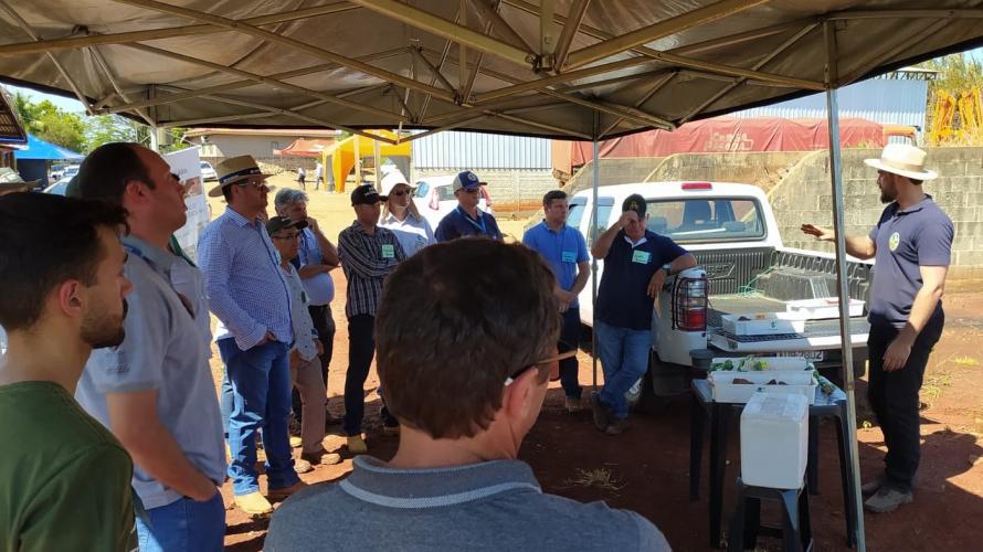 IDR-Paraná e Embrapa Soja realizam Giro Técnico da Soja safra 2022/2023