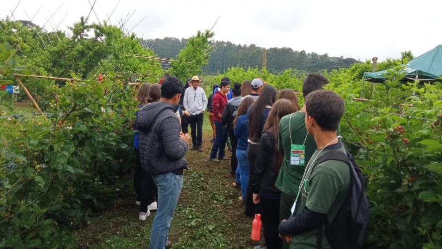 Estudantes conhecem tecnologias para a produção de frutas de clima temperado na Estação de Pesquisa do IDR-Paraná