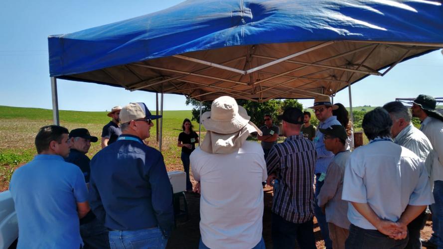IDR-Paraná e Embrapa Soja realizam Giro Técnico da Soja safra 2022/2023