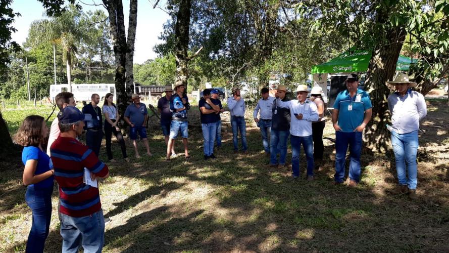 Giro Técnico da Soja reúne mais de 1000 produtores no Estado