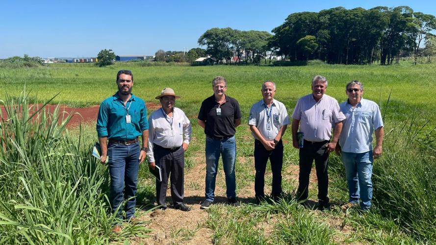 Vitrine Tecnológica vai mostrar tecnologias para a produção de olerícolas, frutas e flores na região Noroeste