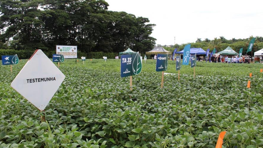 Smart Farm mostra inovações digitais para o agronegócio