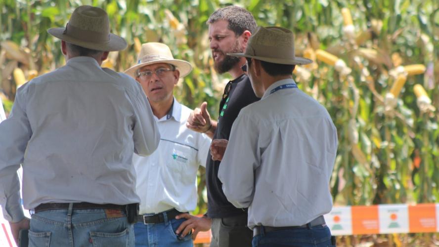 IDR-Paraná supera 200 mil atendimentos no Show Rural e fica ainda mais perto do produtor