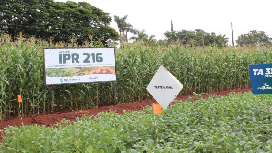 Smart Farm mostra inovações digitais para o agronegócio