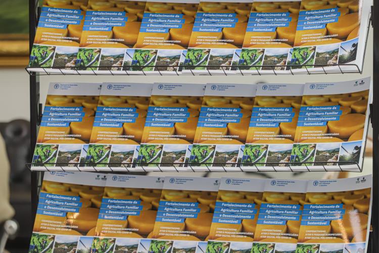 Estudo da FAO mostra Paraná como referência em agricultura familiar e sustentável