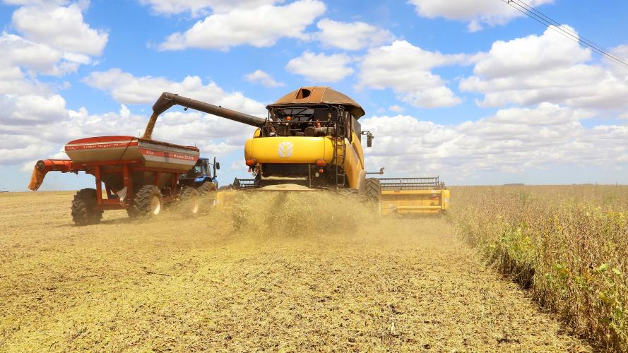 Colheita da soja evolui de 17% para 30% na última semana no Paraná