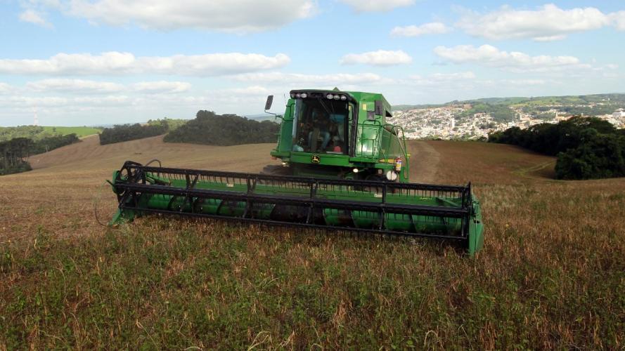Colheita de feijão da primeira safra termina com boa qualidade no Paraná