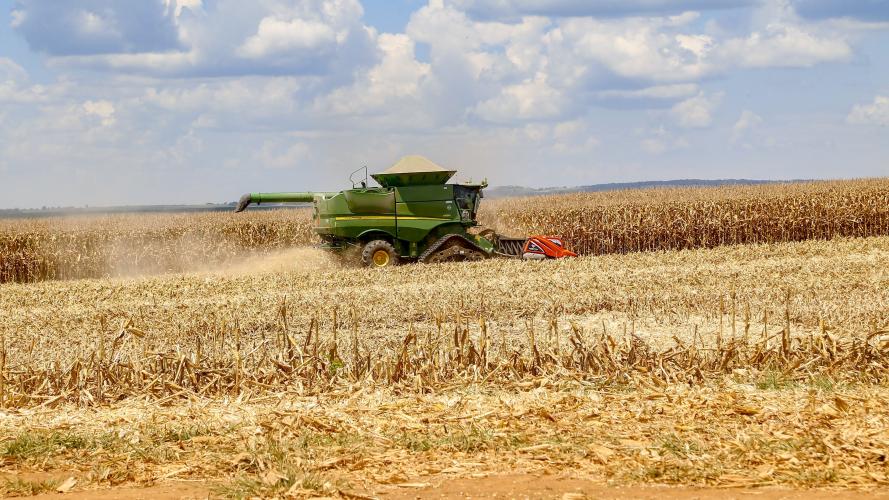 Safra de grãos 2022/2023 no Paraná pode chegar a 47,12 milhões de toneladas