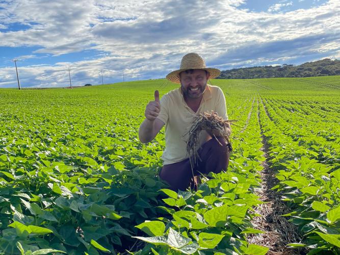 Paraná se destaca no melhoramento genético do feijão e garante maior produtividade