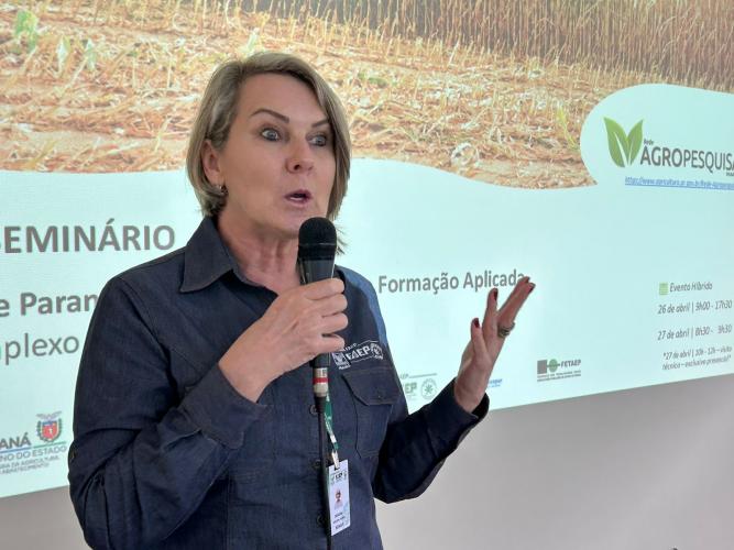 Enfezamento do milho tem rede de pesquisa no Paraná