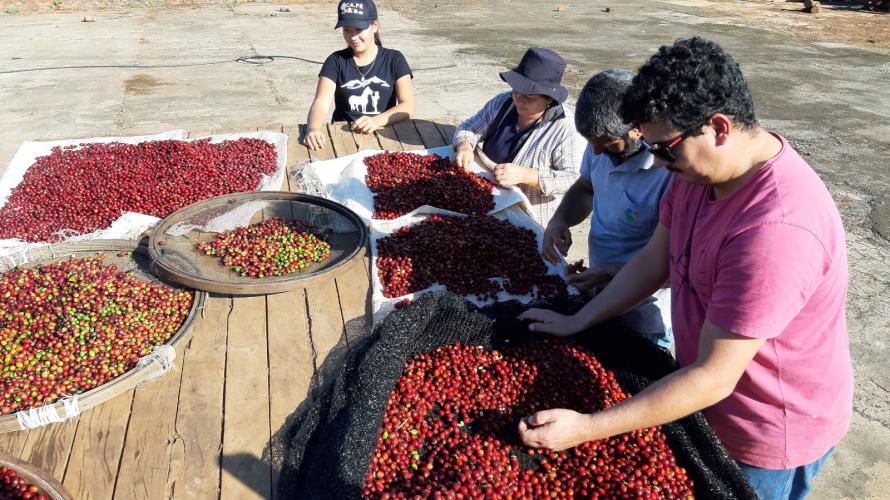 Projeto Mulheres do Café completa dez anos de conquistas
