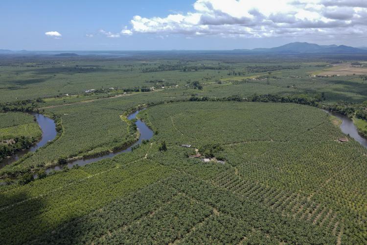 Com Plano Estadual do Clima, sistema de agricultura do Paraná assume desafios ambientais