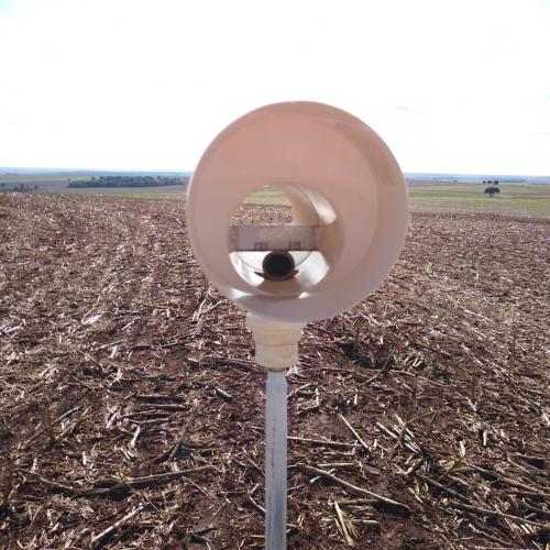 Alerta Ferrugem é retomado no Paraná