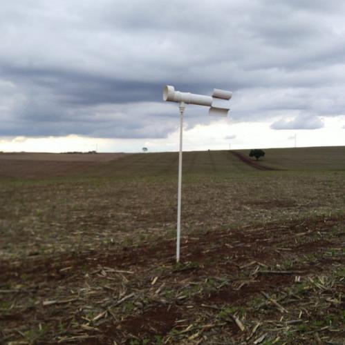 Alerta Ferrugem é retomado no Paraná