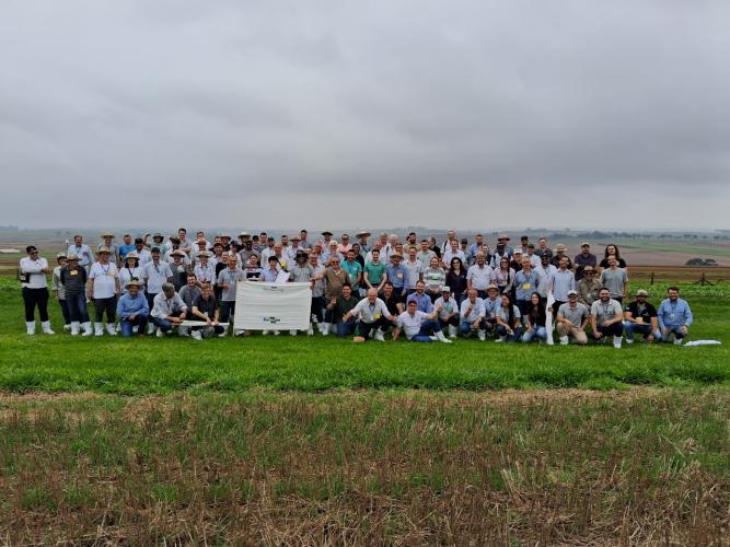 Adoção de boas práticas agrícolas comemora 10 anos de resultados no Paraná, com redução de mais de 50% no uso de inseticidas