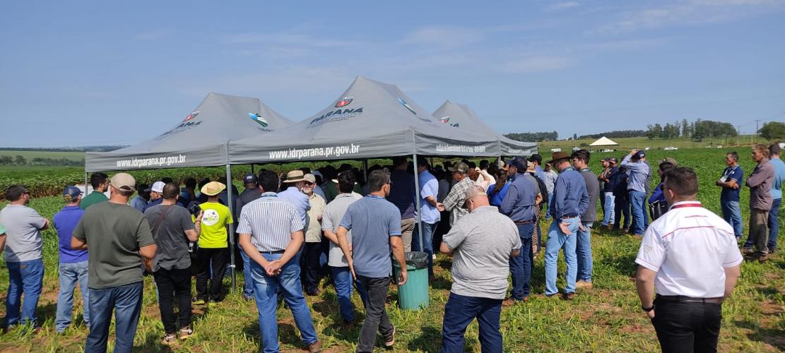 IDR-Paraná mostra novas tecnologias na III Feira Internacional da Mandioca, em Paranavaí