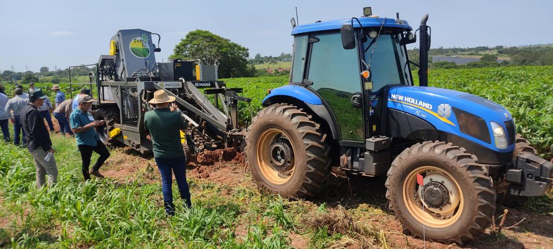 IDR-Paraná mostra novas tecnologias na III Feira Internacional da Mandioca, em Paranavaí