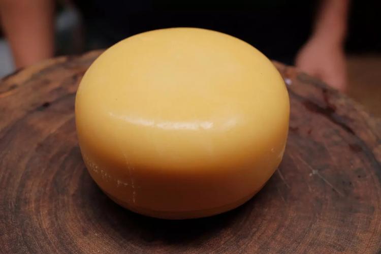 Concurso vai premiar queijos coloniais do Sudoeste