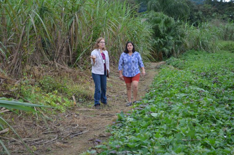 Da proibição das calças ao protagonismo na gestão: mulheres da extensão rural viveram de tudo no campo
