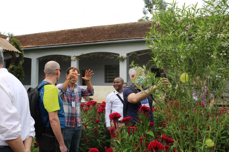 Pesquisadores canadenses visitam Estação de Pesquisa em Agroecologia do IDR-Paraná