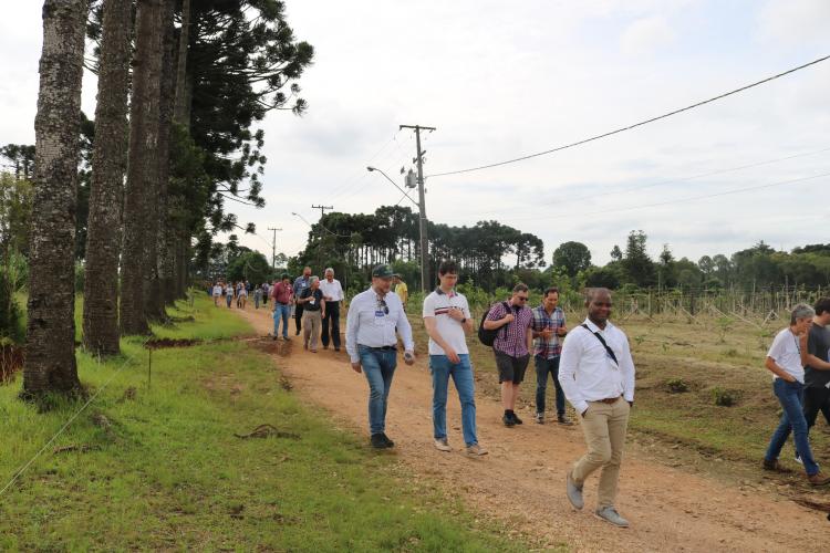 Pesquisadores canadenses visitam Estação de Pesquisa em Agroecologia do IDR-Paraná