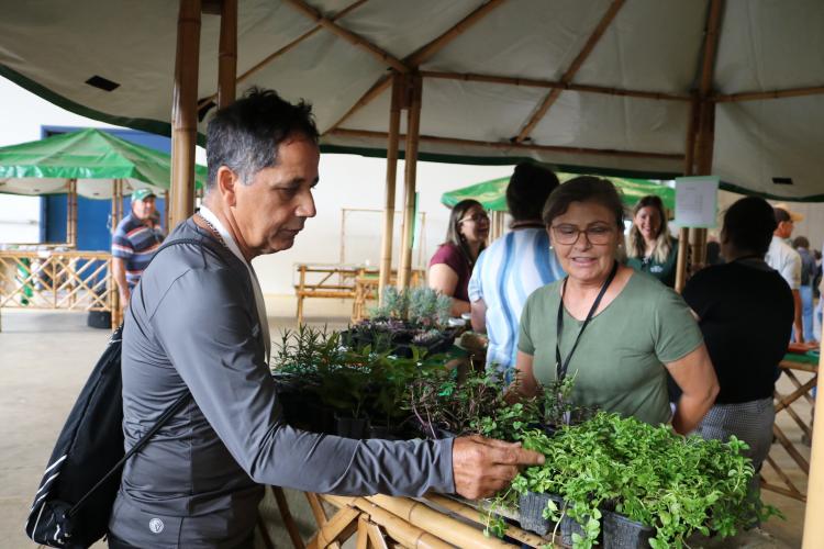 A integração entre conhecimentos práticos e teóricos marcou o 2º Encontro Mesorregional de Agroecologia