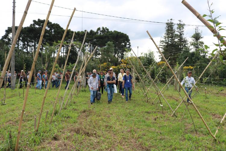 A integração entre conhecimentos práticos e teóricos marcou o 2º Encontro Mesorregional de Agroecologia