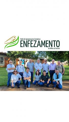 Rede de Agropesquisa do Paraná Intensifica Combate à Cigarrinha-do-Milho