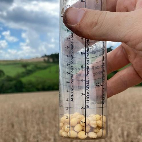 Estudo aponta maior perda na colheita da soja paranaense safra 2022-2023