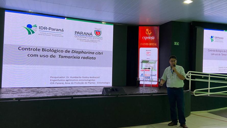 Com iniciativas pioneiras e apoio das indústrias, Paraná reforça controle do greening