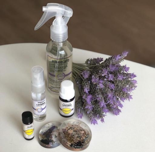 Imagem: Rosilene Welter