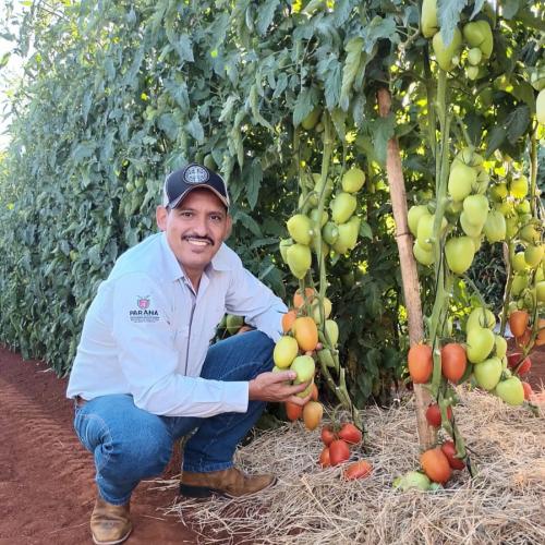 Produtores de hortaliças participam de excursão em busca de novas tecnologias