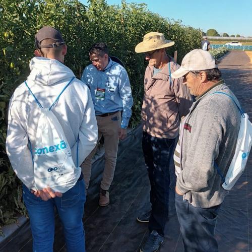 Produtores de hortaliças participam de excursão em busca de novas tecnologias