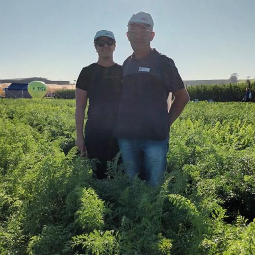 Produtores de hortaliças participam de excursão em busca de novas tecnologias