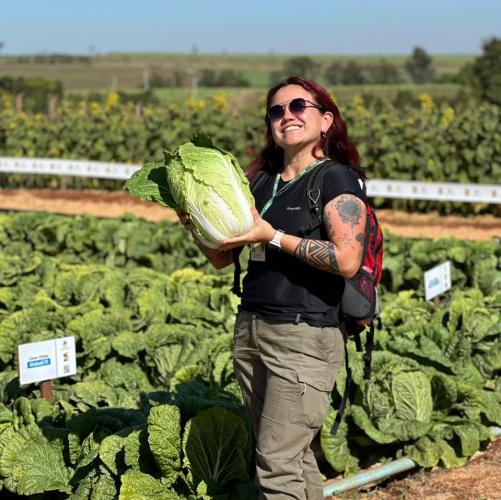 Produtores de hortaliças participam de excursão em busca de novas tecnologias